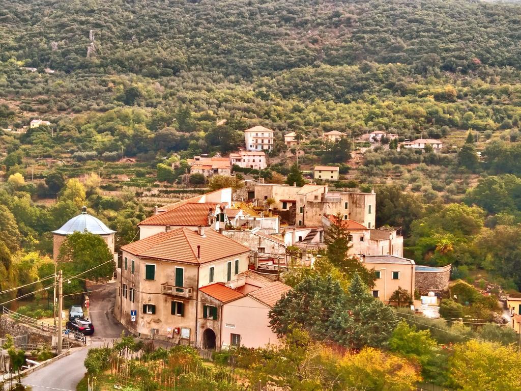 Agriturismo Ca' Magli Villa ออร์โกเฟญีโน ภายนอก รูปภาพ