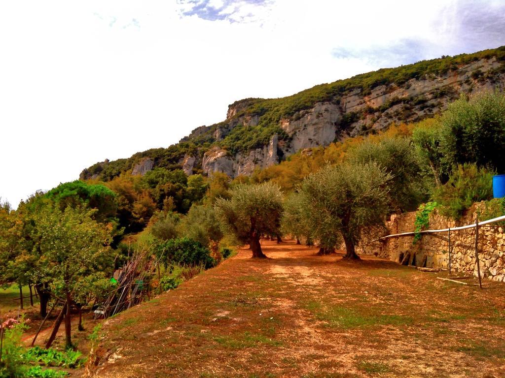Agriturismo Ca' Magli Villa ออร์โกเฟญีโน ภายนอก รูปภาพ